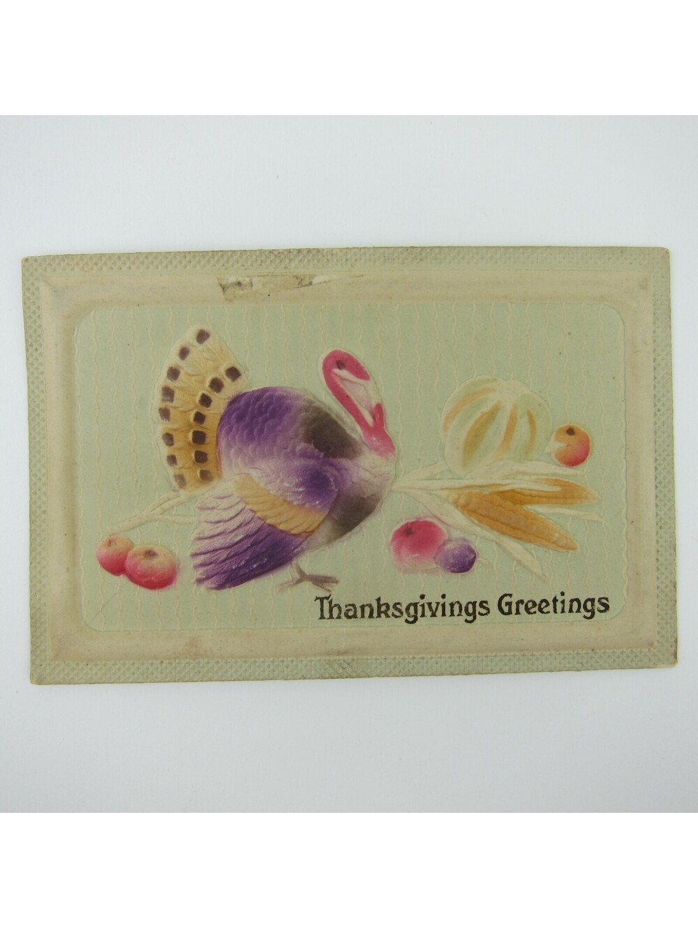 Thanksgiving Postcard Wild Turkey Harvest Fruit 3D Embossed Purple Antique 1920